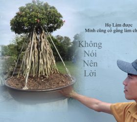 HOA SỨ 024