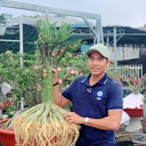 HÌNH ẢNH TRUYỀN BONSAI LÀM RỄ 